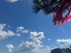 -大芦花风景区