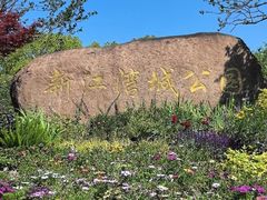 -新江湾城公园