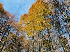 -山王坪喀斯特国家生态公园