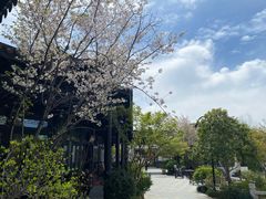 -春色如许·茶食餐厅(桃李春风店)