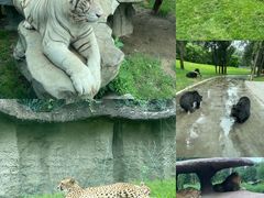 -北京野生动物园