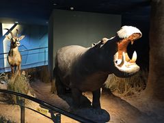 -天津自然博物馆