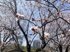 -观山湖公园