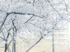 -西北湖绿化广场
