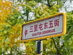 -三里屯东五街银杏大道