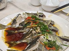 -陈记粤湛鸡饭店