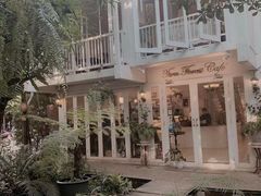 -Fern Forest Cafe