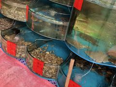 水产区-四海蒸鲜蒸汽海鲜自助(北戴河店)