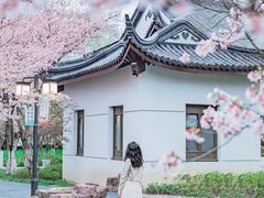 -范蠡湖公园