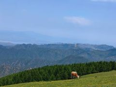 -灵山