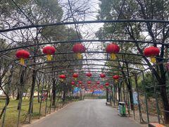 -无锡动物园·太湖欢乐园