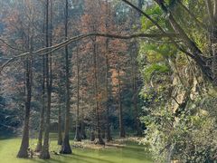 -水濂山森林公园