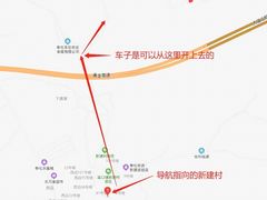 -新建村梅花