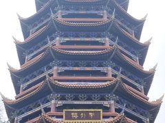 -铁山坪森林公园