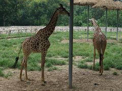 -北京野生动物园