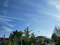 -烟台海昌鲸鲨海洋公园