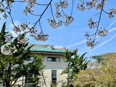 -武汉大学-樱园