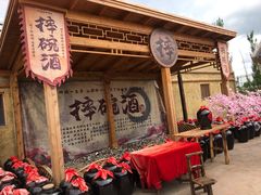 -中国马镇舞马世界主题乐园