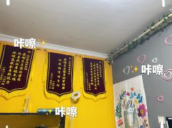 -程氏苗堂苗技养生