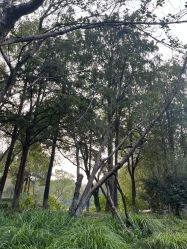 -爱你宝贝儿童摄影(西湖云端店)