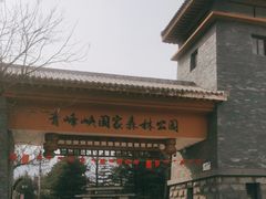 -青峰峡国家森林公园