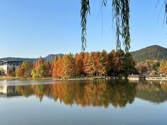 -浙江农林大学(东湖校区)