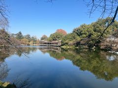 -西湖外事游船(花港观鱼码头)