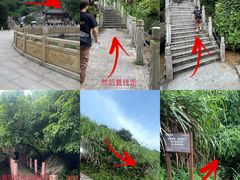 -阳台山森林公园