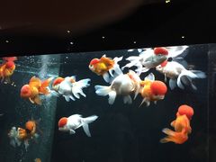 -名足阁沐足(常平店)
