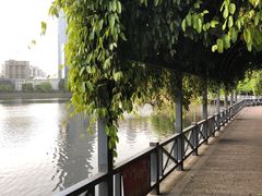 -喷泉公园