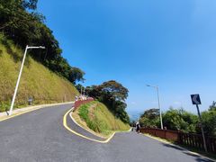 -黄埔油麻山森林公园