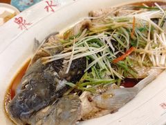 -燕喜堂·中华老字号(大明湖店)