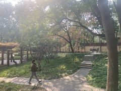 -徐家汇源景区-衡山公园