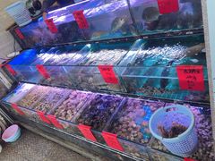 -金海湾海鲜排档(朱家尖店)