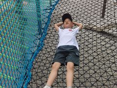 -尺木神奇世界