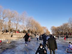 -东坝千亩湖公园
