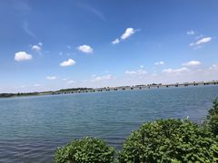 -丁香湖公园