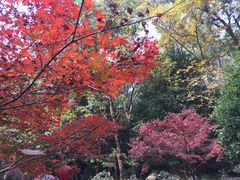 -杭州西湖风景名胜区-三生石