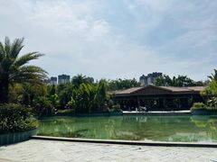 -碧桂园润杨溪谷温泉酒店