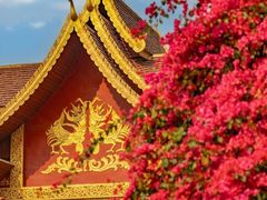 -曼听御花园