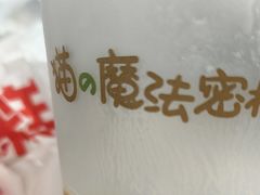 -猫的魔法密林(衣裳街店)
