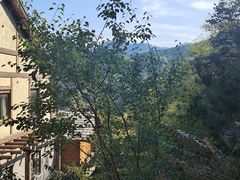 -九如山休闲旅游度假区