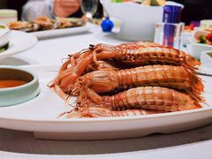 皮皮虾-开海·红岛海鲜虾水饺(石老人店)