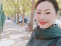 -三里屯东五街银杏大道