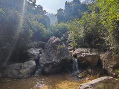 -南海湾森林生态园