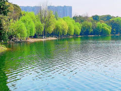 -成都市活水公园