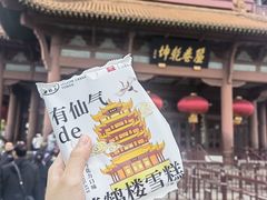 -黄鹤楼公园(黄鹤楼)