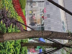 -成都金融城演艺中心