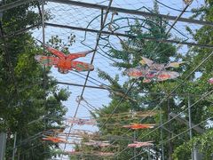 -南宫五洲植物乐园