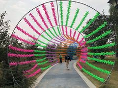 -祥源·阜阳生态乐园